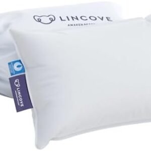 Lincove Microgel Travel Pillow - Global Recycled Standard Certified - Plush and Cozy Luxury Pillow to Support Head, Neck, While Sleeping on Airplanes, Cars, Hotels & Home - 12"x16"